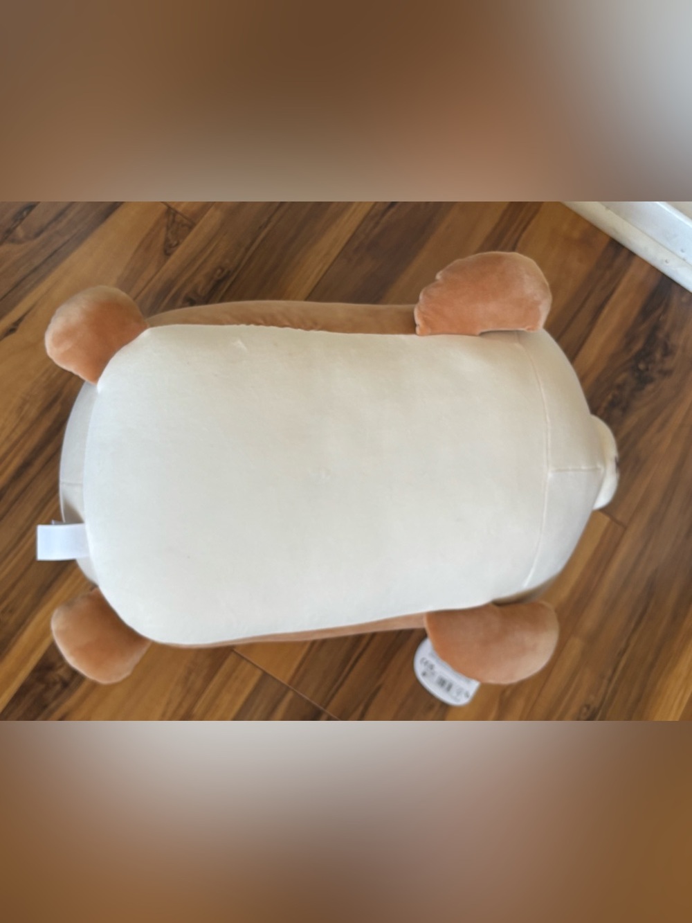 Squishmallow Cute Brown & Cream  Plush Corgi Dog named Regina - Picture 5 of 6